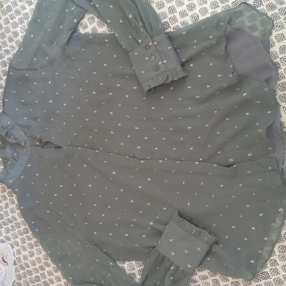 Ann Taylor Sage Blouse with Ruffle Accents